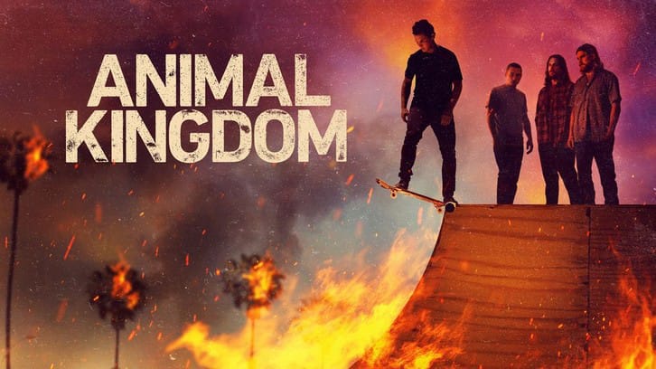 Animal Kingdom - Episode 6.08 - Revelation - Promo + Press Release 