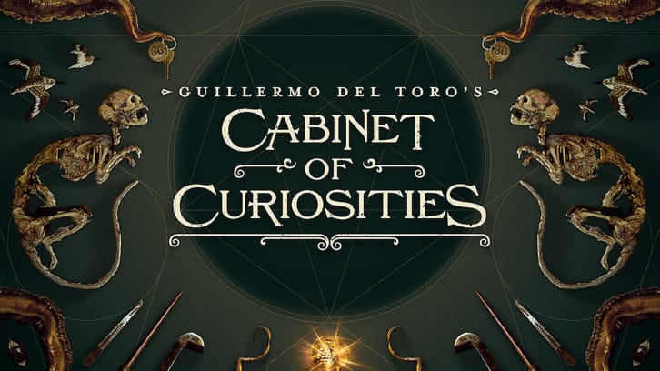 Cabinet Of Curiosities