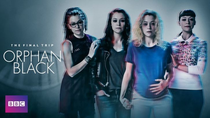 Orphan Black: Echoes - Orphan Black Spin-Off Ordered To Series by AMC - Full Press Release