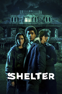 Shelter